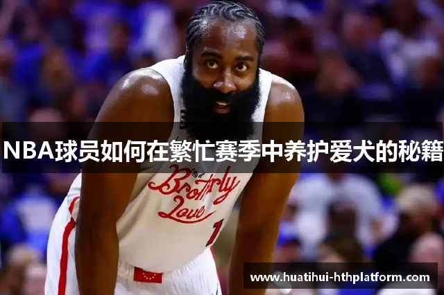 NBA球员如何在繁忙赛季中养护爱犬的秘籍