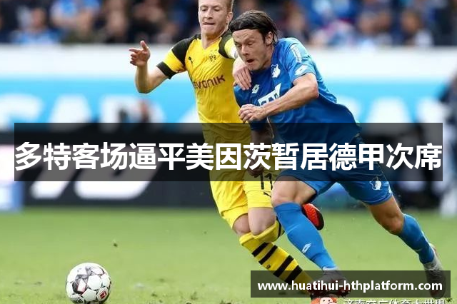 多特客场逼平美因茨暂居德甲次席